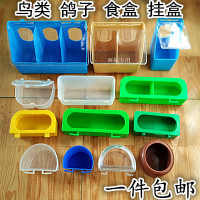 鵪鶉喂水器用品鳥用具水槽喝水水壺配件雙口導水器鴿子透明飲水器