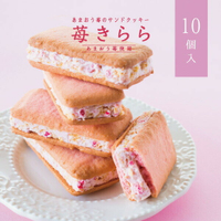 【10盒免運！】苺Kirara 甘王草莓夾心餅 (10個裝)*10盒  甜點日本必買 | 日本樂天熱銷