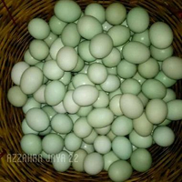 Telur Asin Rebus Asli Brebes isi 10pcs Gurih, Lezat, Masir Telur Asin Bakar