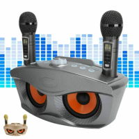 SD306Plus 30W High power Wireless Bluetooth Speaker With 2 Mic Karaoke Speaker All-in-one Machine Support TF/USB Play Big Volume