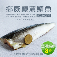 築地一番鮮-厚片超大油質豐厚挪威薄鹽鯖魚8片(約210g片)免運組