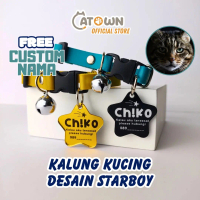 D009Mirror-Kalung Kucing Custom Nama Gratis Cetak Ukir Nama Aksesoris Anjing Custom Lucu Anti Hilang