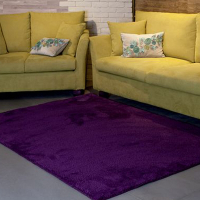 【FUWALY】凡地剛地毯-紫-140X200CM (地毯 地墊 多色 溫暖 適用於客廳 起居室空間 生活美學)