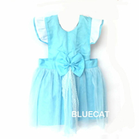 淺藍色灰姑娘公主 兒童圍裙【BlueCat】【JI2389】