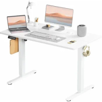48 X 24 Inch Ergonomic Adjustable Desk Stand Up Desk With Memory Preset White Freight Free Notebook Table for Laptop Bed Mobile