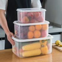 進口超大容量收納盒水果蔬菜密封整理神器冷凍專用冰箱保鮮盒