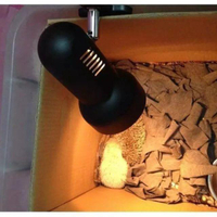 鸚鵡寶寶幼鳥加熱燈調溫保溫箱保暖燈取暖器寵物加熱保溫夾子燈罩