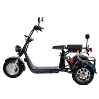 electric tricycles 3 wheel cargo bike EEC/COC Three Wheel motorcycle Golf Tricycles for adult Citycoco Scooter