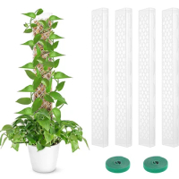 Train Creeper Plants With Unique Plant Support Poles Moss Pole For Plants Indoor Potted Plant