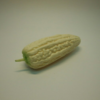 《食物模型》苦瓜 蔬菜模型 - B2015