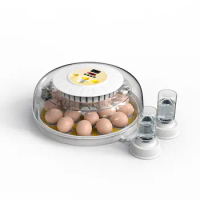 New Design Mini Automatic Egg Incubator hatching eggs Egg Incubator