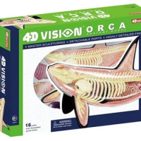 4D master animal anatomy model fight inserted whale nursery teaching aids children's educational toys free shipping