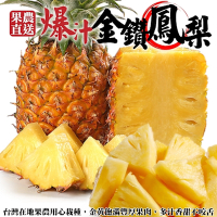 【天天果園】外銷級屏東台農17號金鑽鳳梨17斤 (6-8支入)