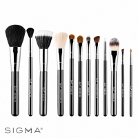 Sigma 刷具12件組-Essential Brush Kit