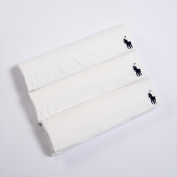 Polo Ralph Lauren RL 熱銷刺繡小馬純棉素面短袖T恤3件組-白色