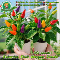 50pcs/pack Fresh Organic Multicolor Pepper Chili Plant benih for Planting Vegetables High Yield Colo