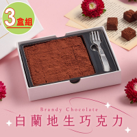 【拾青春Legumes】白蘭地生巧克力3盒(155g±10％/盒)黑巧克力
