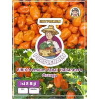 Bibit Premium Cabe Habanero Orange |Benih Cabe Orange Habanero|Cabe Habanero