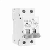GYR9NM AC Type RCBO 2P 4P Magnetic Circuit Breaker with Over Current and Leakage Protection Din Rail 10A 16A 25A 32A 40A