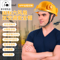 12h出貨 公司貨 附發票 哥爾姆太陽能AI智能工地 國標六風扇雙空調安全帽GD1710