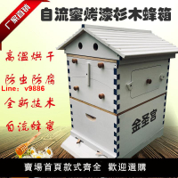 【台灣公司 超低價】烤漆杉木七脾金圣宮自流蜜蜂箱 自動取蜜蜂箱蜂巢中蜂意蜂通用