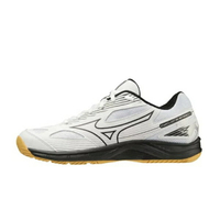 Mizuno Cyclone Speed 4 [V1GA238054] 男女 排球鞋 基本款 運動 訓練 輕量 白 黑