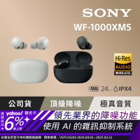 SONY WF-1000XM5 真無線 主動式降噪耳機