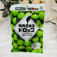 日本 浪速製果 梅精糖 60g 使用和歌山產南高梅｜全店$199免運