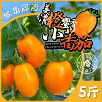 【家購網嚴選】美濃橙蜜香小番茄 5斤/盒-4盒