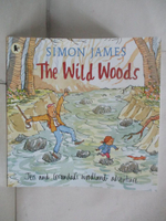 【書寶二手書T5／少年童書_FMA】The Wild Woods_Simon James