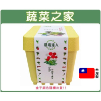 【蔬菜之家】iPlant小農場系列-小品菊(可任意組合盆栽)