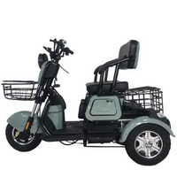 electric tricycle adult 3 Wheel Electric Mobility Scooter New model Electric Tricycles