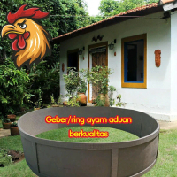 Geber ayam berkuliatas Diameter 3 Meter bahan karet spon super fremium tebal