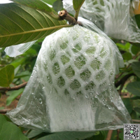 特厚款水果袋網套番石榴一體套袋特色網包裝防振防蟲防鳥防菌-UM.有米家居