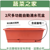 【蔬菜之家005-AP60】2尺多功能自動澆水花盆(含底盤)
