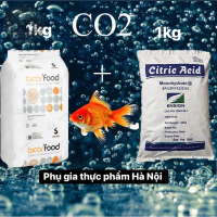 [1kg citric acid+ 1kg baking soda] Combo 2Kg nguyên liệu chế CO2 cho bể cá- Baking Soda- Bột Chanh