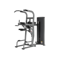 HOS-J008 Easy Chin/Dip Auxiliary horizontal and parallel bars training machine Gym strength equipment whole series factory outle