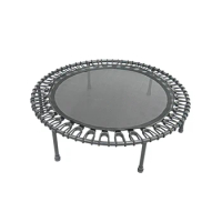 Gym Equipment Fitness Exercise Indoor Gymnastic Mini Trampoline for Sale