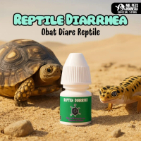 MR TORTO - REPTILE DHIAREA | Obat Diare Reptil | Obat Reptil Mencret | Obat Pencernaan Reptil | Prob