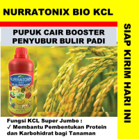 PUPUK TANAMAN PADI NURRATONIX BIO KCL JUMBO 500 ML - PUPUK CAIR TANAMAN PADI TERAMPUH - PUPUK UNTUK