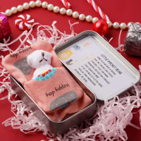 1Set Kawaii Small Bear Plush Soft Toys Pearl Velvet Dolls Gifts Mini Teddy Bear Gifts Birthday Wedding Party Decor BOX Garment