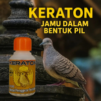 KERATON PAKAN JAMU BURUNG PERKUTUT LOKAL Jamu Perkutut Anti macet bunyi