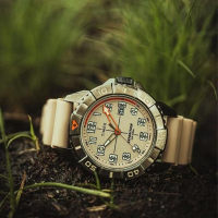 TIMEX  天美時 遠征系列  41毫米軍事風格戶外手錶 (淺褐色 TXTW2V40900)