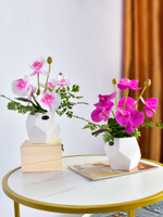 高仿真PU蝴蝶蘭花藝套裝 現代簡約桌面花會議裝飾花帶陶瓷花盆