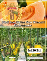 Bibit Joss Melon New Kinanti Hydroponic | Biji Benih Melon New Kinanti | Melon Kinanti
