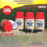 IdeaPlus RJB (Untuk masa Angkrem)