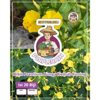 Bibit Premium Bunga Kedrat Kuning | Biji Benih Bunga Terompet Kuning | Kedrat Kuning