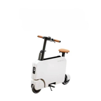 Portable electric scooters for vehicles