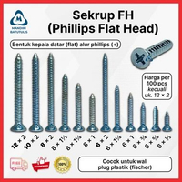 Skrup FH Flat Head S8 Sekrup FAB SDS #10x2" # Skrup untuk S8 #12x2" (50pcs)