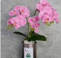 Anggrek bahan artificial 3 tangkai Pink